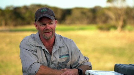 Dogs part pf arsenal in Kangaroo Island cat eradication program