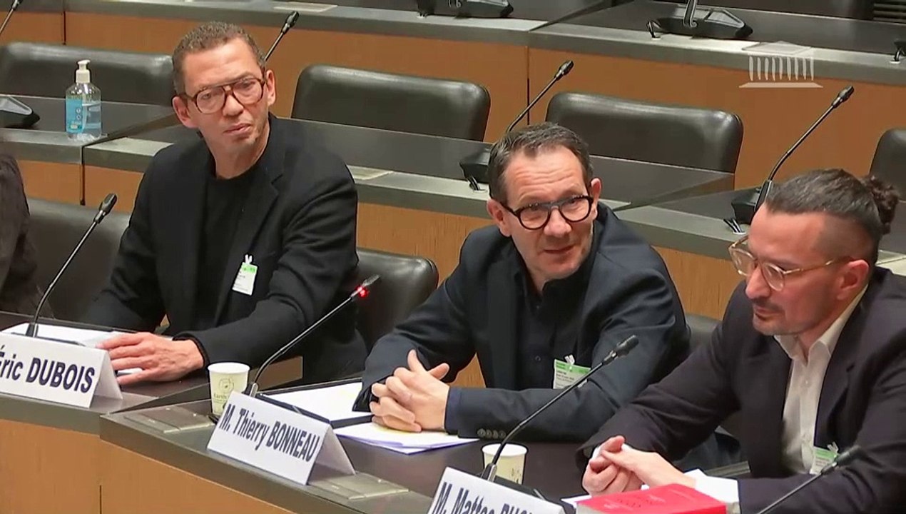 Violences commises dans les secteurs artistiques et médiatiques : Table ronde réunissant des agences de mannequins ; M. Dominique Besnehard, producteur, acteur et ancien agent artistique et directeur de casting - Jeudi 13 mars 2025