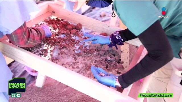 Guerreros Buscadores regresaron a la “escuelita del terror” en Teuchitlán, Jalisco