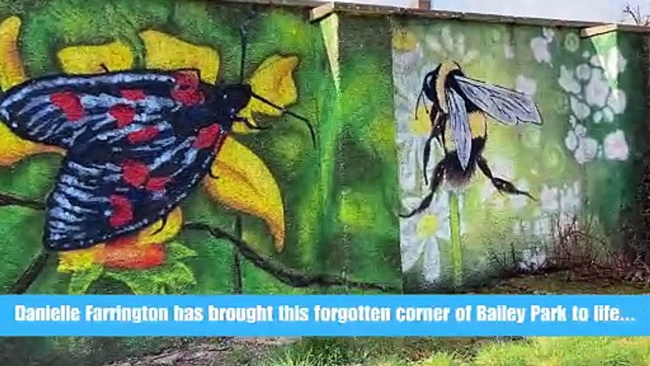 Murals in Bailey Park