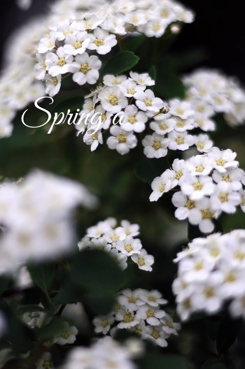 Nature Meditation: the perfect blend of sounds and classical