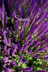 Forest Symphony: Nature, Silence and Harmony