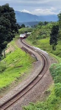 Kereta Api Harina adalah kereta api yang melayani rute Bandung-Surabaya Pasarturi