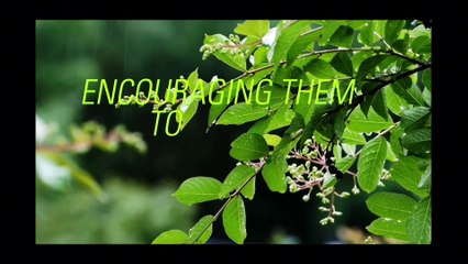 Is Christianity the Path of Truth or a Human Invention?#IslamVsChristianity #TruthSeeker