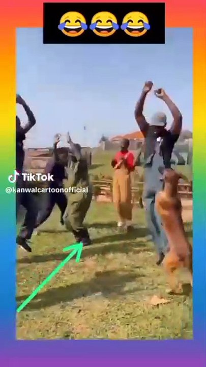 Dog 🐕 dance