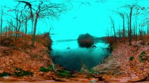 Frozen Lake 🧊 Bird Sounds & Nature 360 VR  - Winter Peace for Sleep & Meditation