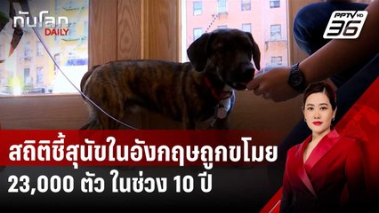 สถิติชี้สุนัขในอังกฤษถูกขโมย 23,000 ตัว ในช่วง 10 ปี | ทันโลก DAILY | 14 มี.ค. 68