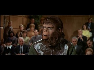 1971: The Scimmie Piano and the Fuga – An Artistic Masterpiece 🎹