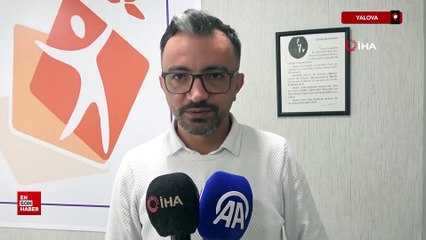 Yalova'da sokak köpekleri park halindeki otomobilleri paramparça etti