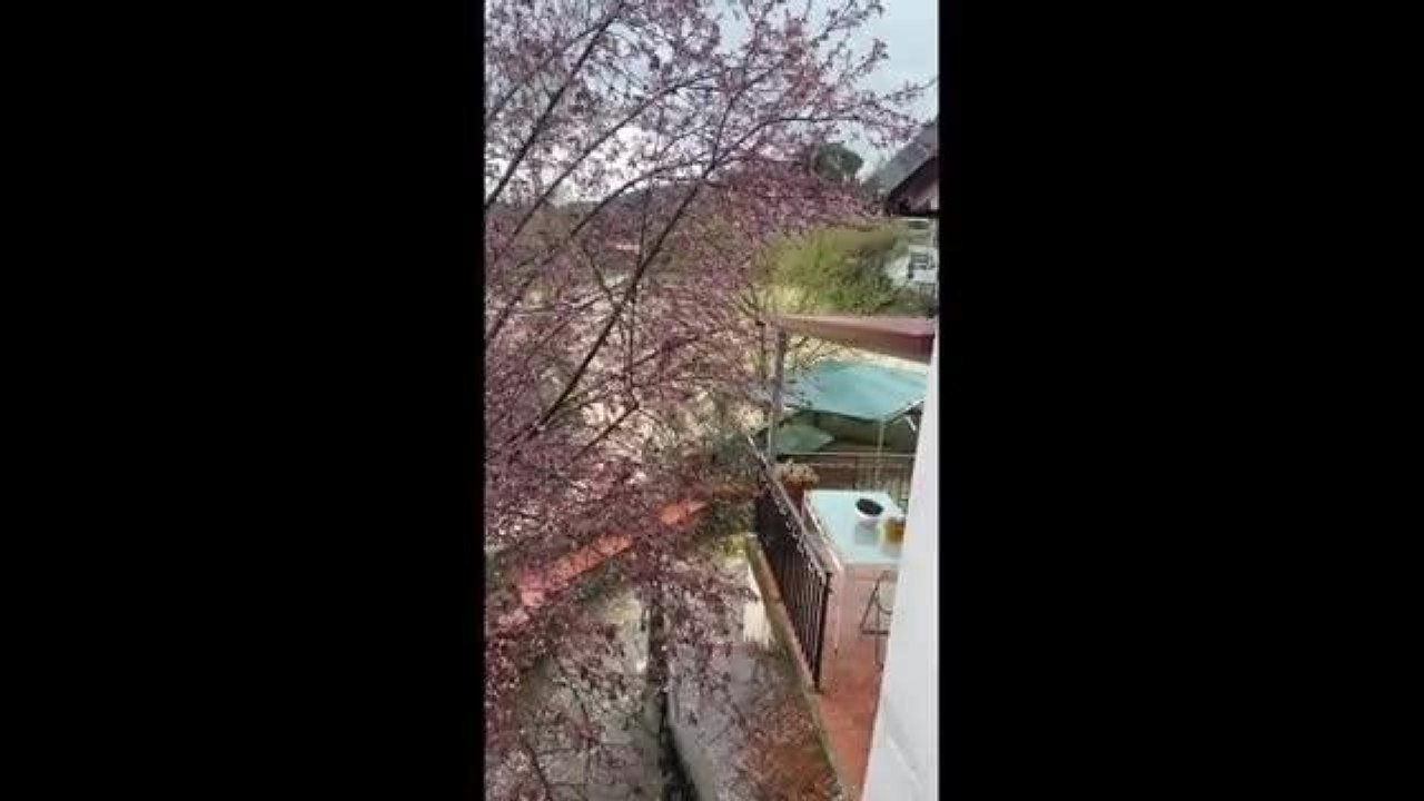 Montelupo, la strada diventa un fiume