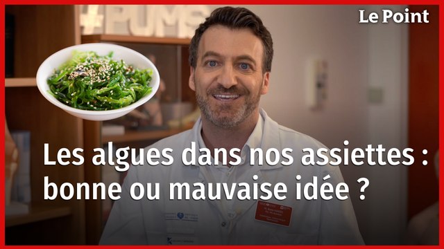 La vérité sur la consommation d’algues pour la santé