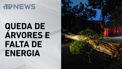 São Paulo tem dia de trabalho intenso após temporal