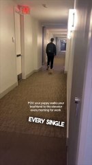 Her dog walks her boyfriend to work 😂