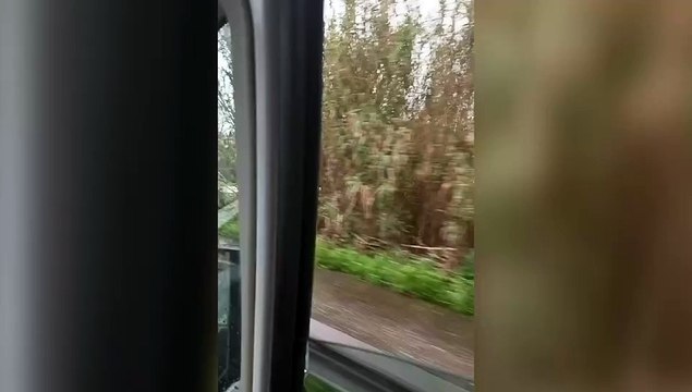 Maltempo in Toscana: Arno in piena visto dal ponte delle Bocchette a Pisa