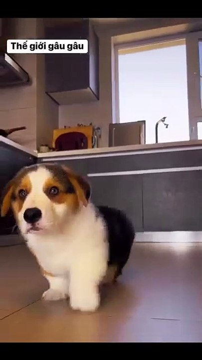 Hello boss