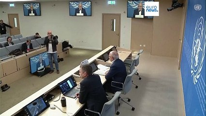 Bande de Gaza : Israël accusé de violences sexuelles et "actes génocidaires"