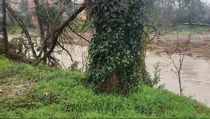 Maltempo a Bologna, cresce il fiume Idice a Castenaso: il video