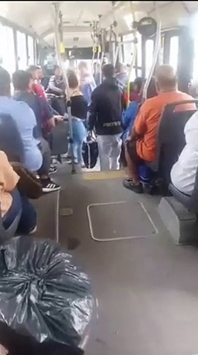Terror a bordo: brutal agresión de una mujer embarazada a un chofer de la línea 96 en González Catán
