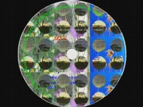 chant de chardonneret