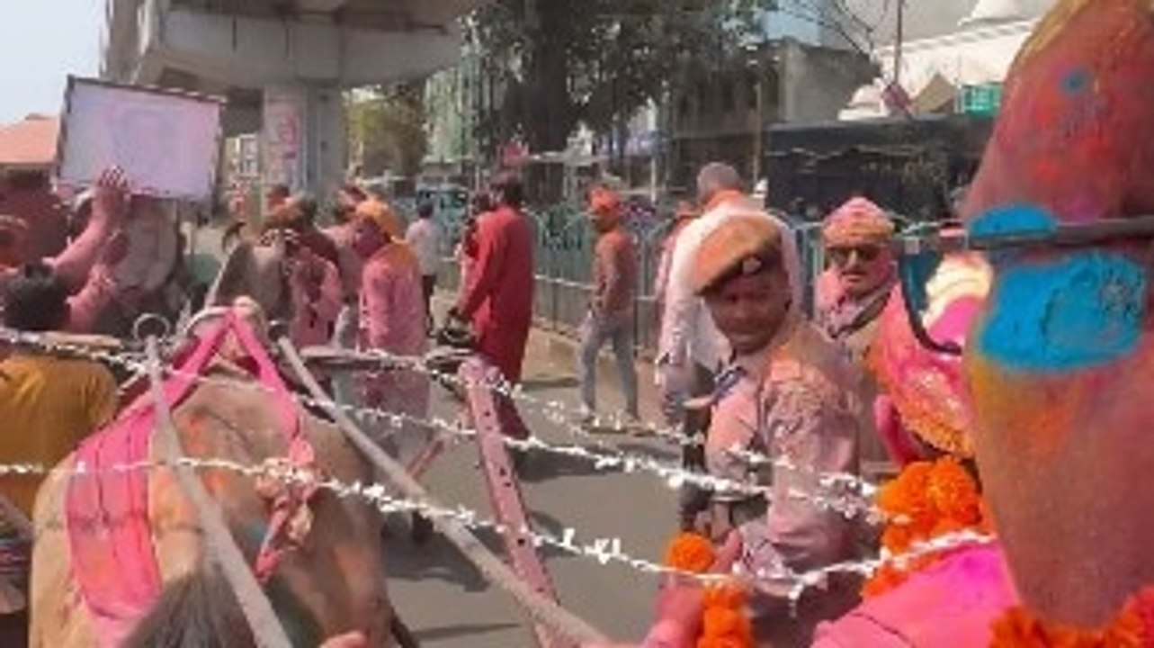 Watch: UP Deputy Chief Minister rides camel during Holi celebrations