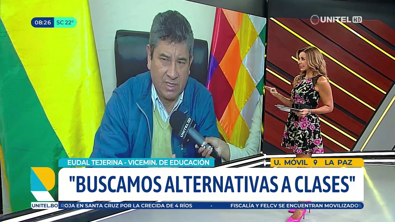 ​Viceministro de Educación