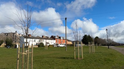 Green boost amid new Seacroft council housing scheme