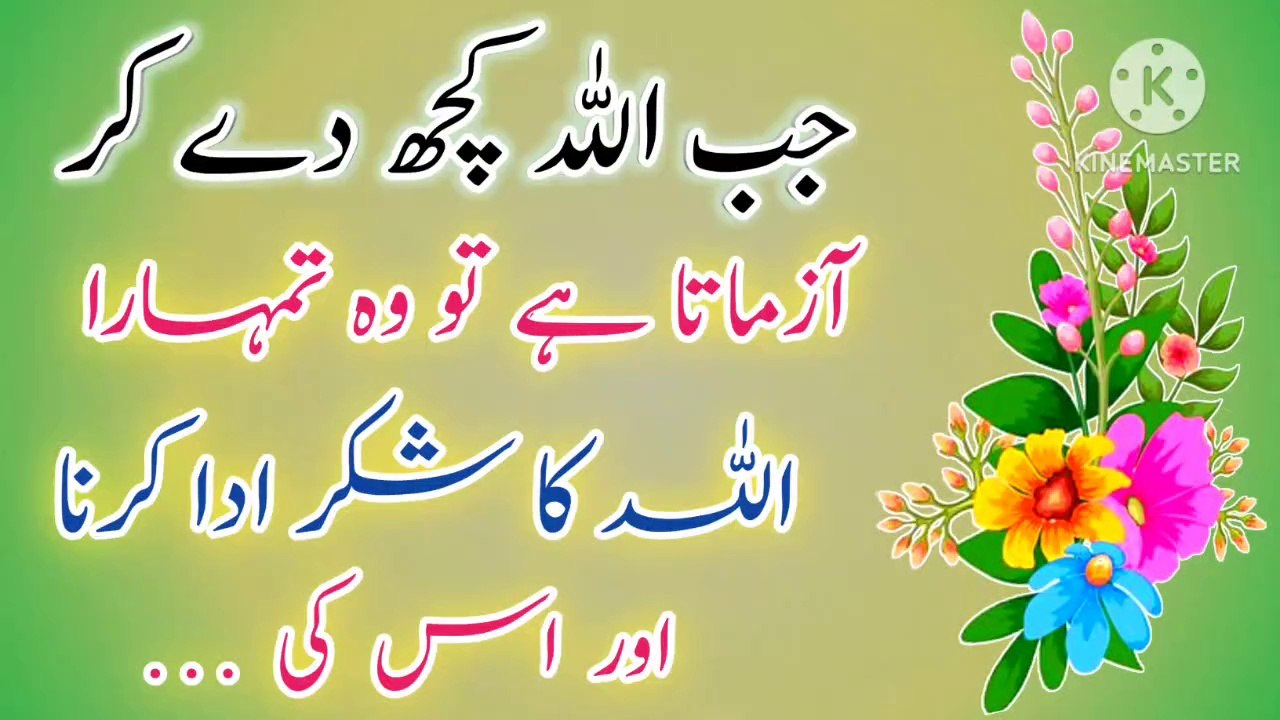 Jab Allah Kuch De Kar Azmata Hai To💯! Urdu Islamic quotes💥! Best Urdu Quotes🔥! ISLAMIC URDU MEWAT