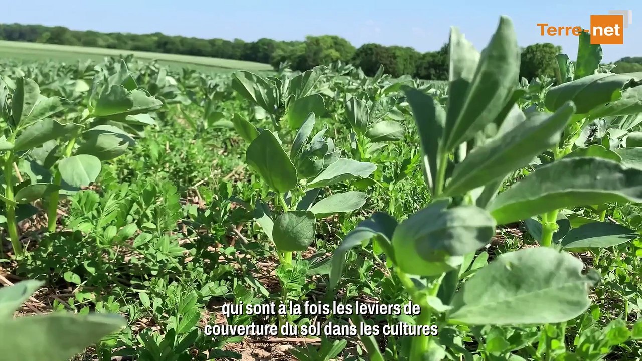 ABC en Wallonie : des résultats à approfondir, mais des perspectives intéressantes