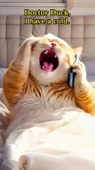 Feeling Sick? Tips to Nourish Your Body & Feel Better 🌿