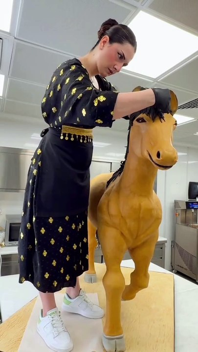Chocolate Cake (Horse Shape)
