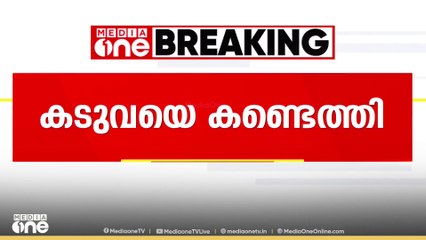 വണ്ടിപ്പെരിയാർ ഗ്രാമ്പിയിലിറങ്ങിയ  കടുവയെ വനം വകുപ്പ് കണ്ടെത്തി