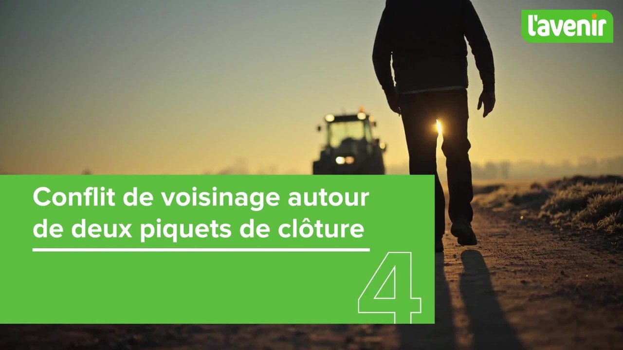 Veaux tués à coups de masse: les éleveurs s'en sortent bien, un ancien éducateur namurois face à la justice...: histoires judiciaires en Wallonie