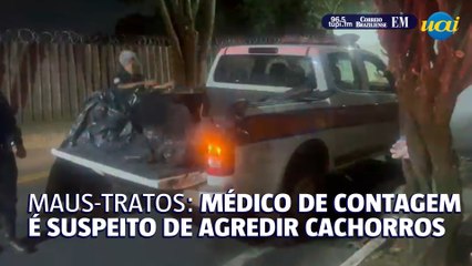 Médico de Contagem é suspeito de maus-tratos contra cachorros