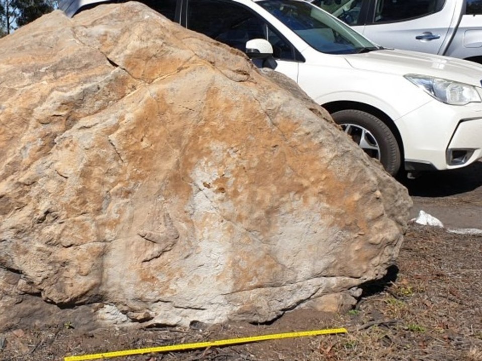 Fußabdrücke von Dinosauriern in Schule in Australien gefunden