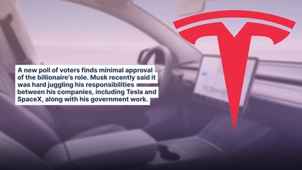 Elon Musk Disapproval Rating 53% In New Poll: 62% Say Tesla CEO Doesn't Have 'Right Experience' To Make Changes To Government