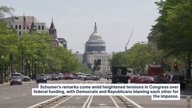 Chuck Schumer Says A Government Shutdown Will Give Trump The 'Keys To The City, State and Country' And Elon Musk The Chance To Destroy Government Services