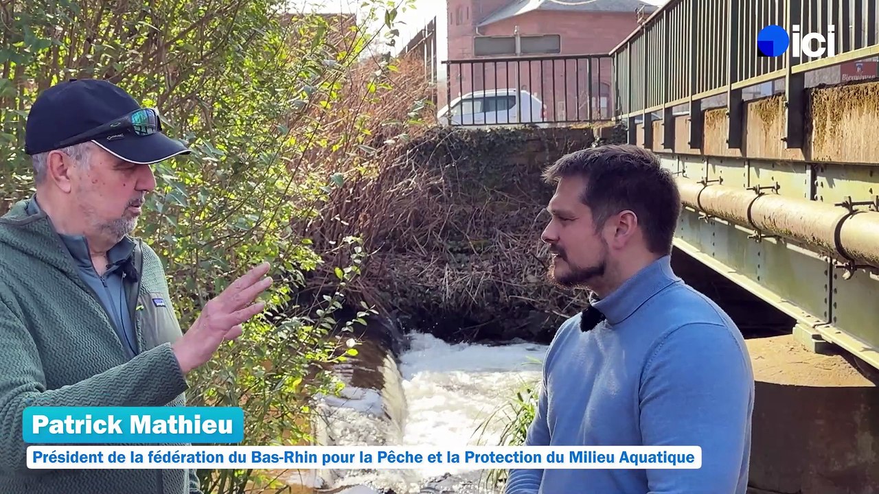 2/5 : des aménagements pour la reproduction de la truite