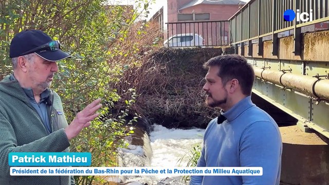 2/5 : des aménagements pour la reproduction de la truite