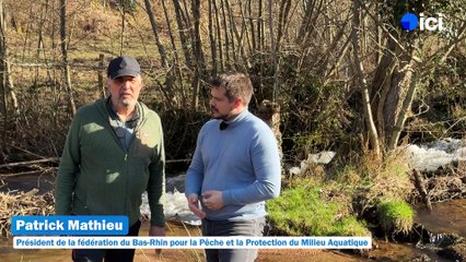 4/5 : l'apprentissage de la pêche et cartes spéciales femmes et enfants