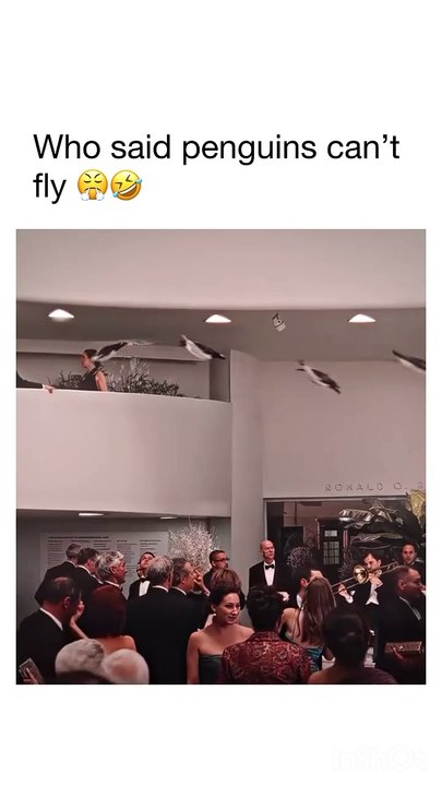 They don_t make like this anymore 🤣__🎥 Mr. Popper_s Penguins__Tom Popper (Jim Carrey) grew up having very little interaction with his father_ who was (