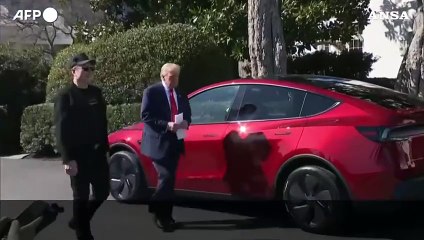 Show di Trump fra le Tesla di Musk alla Casa Bianca