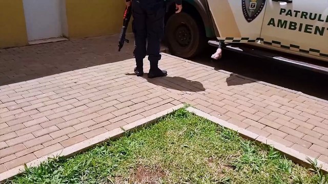 Mulher furta chocolate e doces em empresa e é detida pela GM no Centro