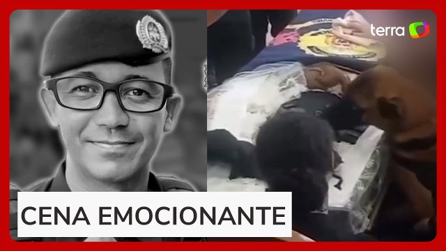 Cão parceiro de GCM morto em São Vicente se despede em velório, e cena comove internautas