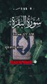 SURAH Al Baqrah | سورة البقره | Verses (Ayat) 177-178 Urdu translation & Hindi Subtitle. QURAN TARJUMA  #surahalbaqrahayat177-178 #surahalbaqrahenglishsubtitle #surahalbaqrahurdutarjuma #surahbaqrahhindisubtitle #quranicworld  #quranverses  #viralvideo