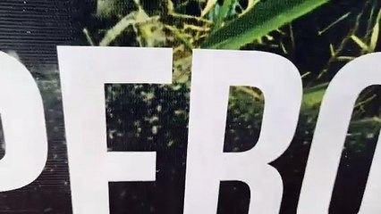 Vídeo do WhatsApp de 2025-03-BPFron e Receita Federal prendem 2 homens em carro com 289 kg de maconha em Umuaramaà(s) 12.44.44_7d1d9988