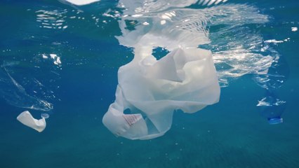 Inquinamento marino da navi, per la Corte Ue pochi risultati