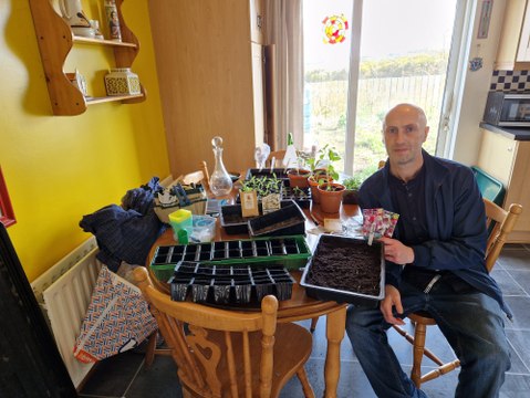 The basics of seed starting indoors - Gardening with Brendan