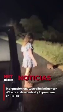 La influencer estadounidense Sam Jones compartió un video en TikTok donde se le ve robando una cría de wombat en Australia.
