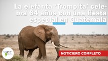 La elefanta ‘Trompita’ celebra 64 años con una fiesta especial en Guatemala |742| 17-23 marzo 2025