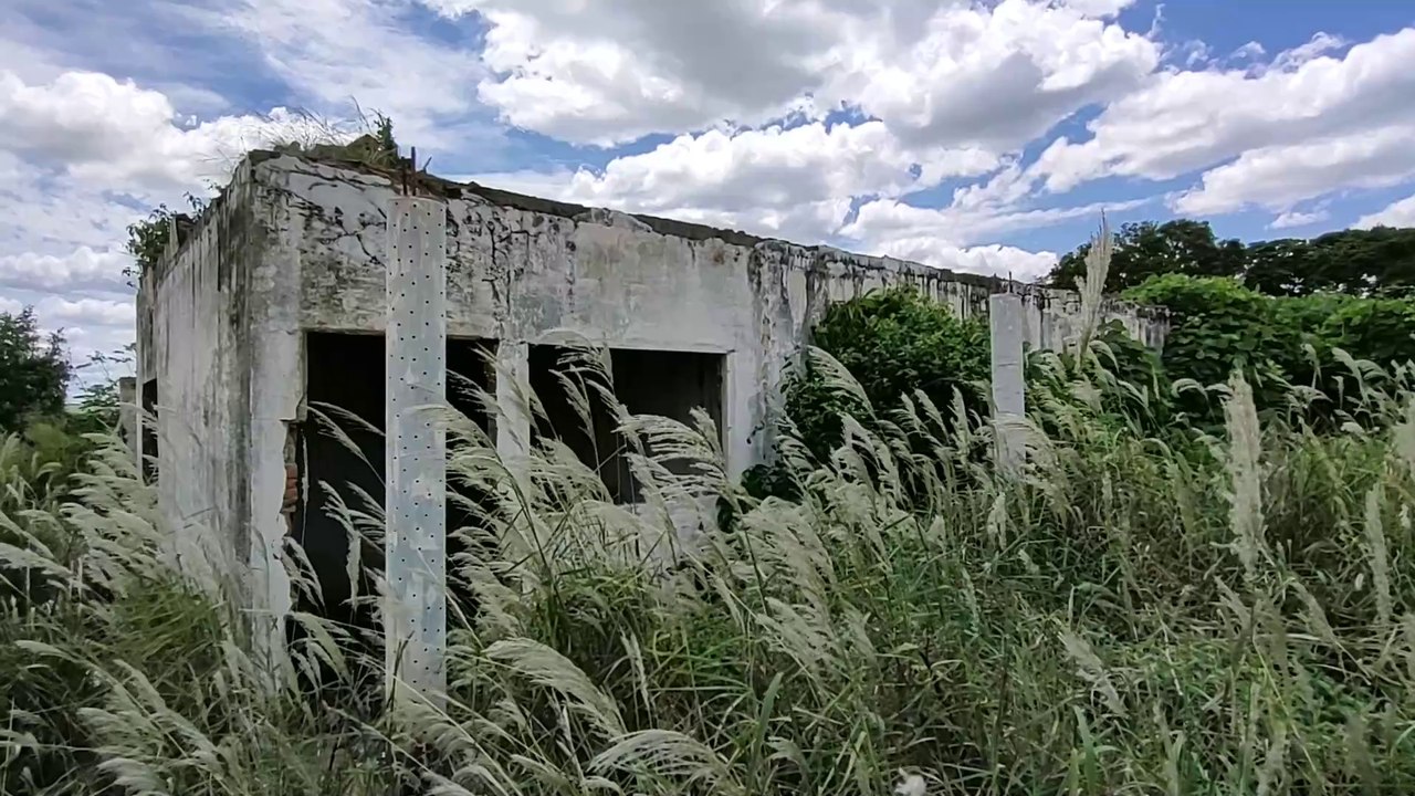 CASAS ABANDONADAS ONDE UMA ONÇA PODE ESTAR SE ESCONDENDO